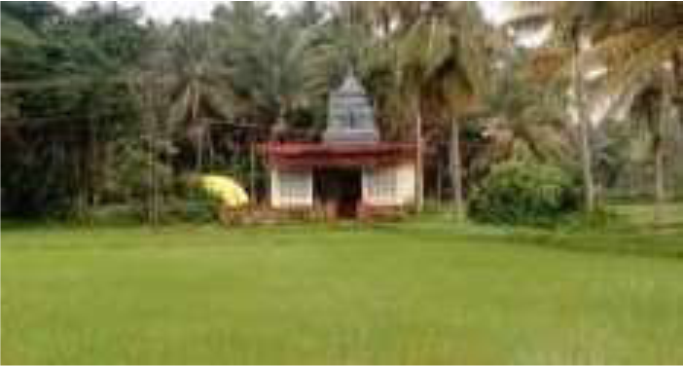 Image from page